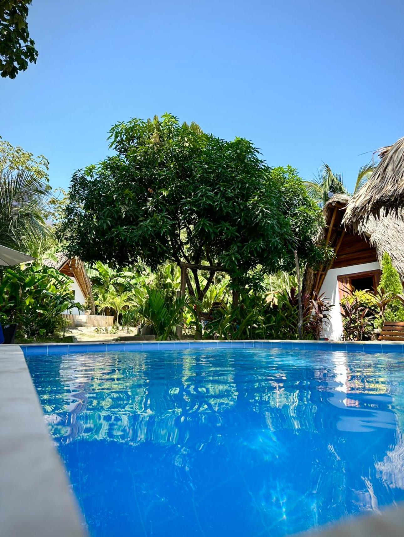 Eco Hotel Amanecer Tayrona El Zaino Exteriör bild