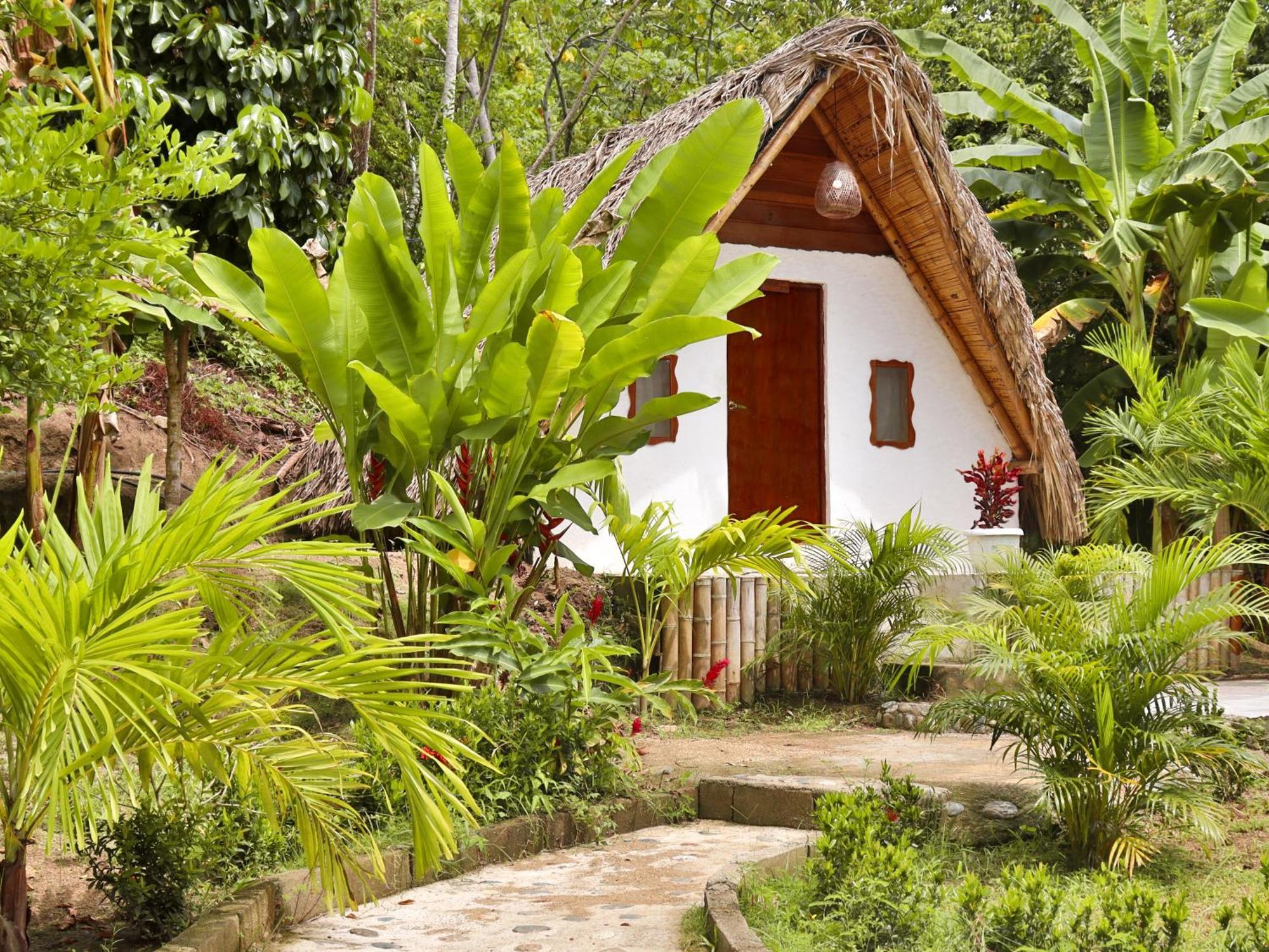 Eco Hotel Amanecer Tayrona El Zaino Exteriör bild